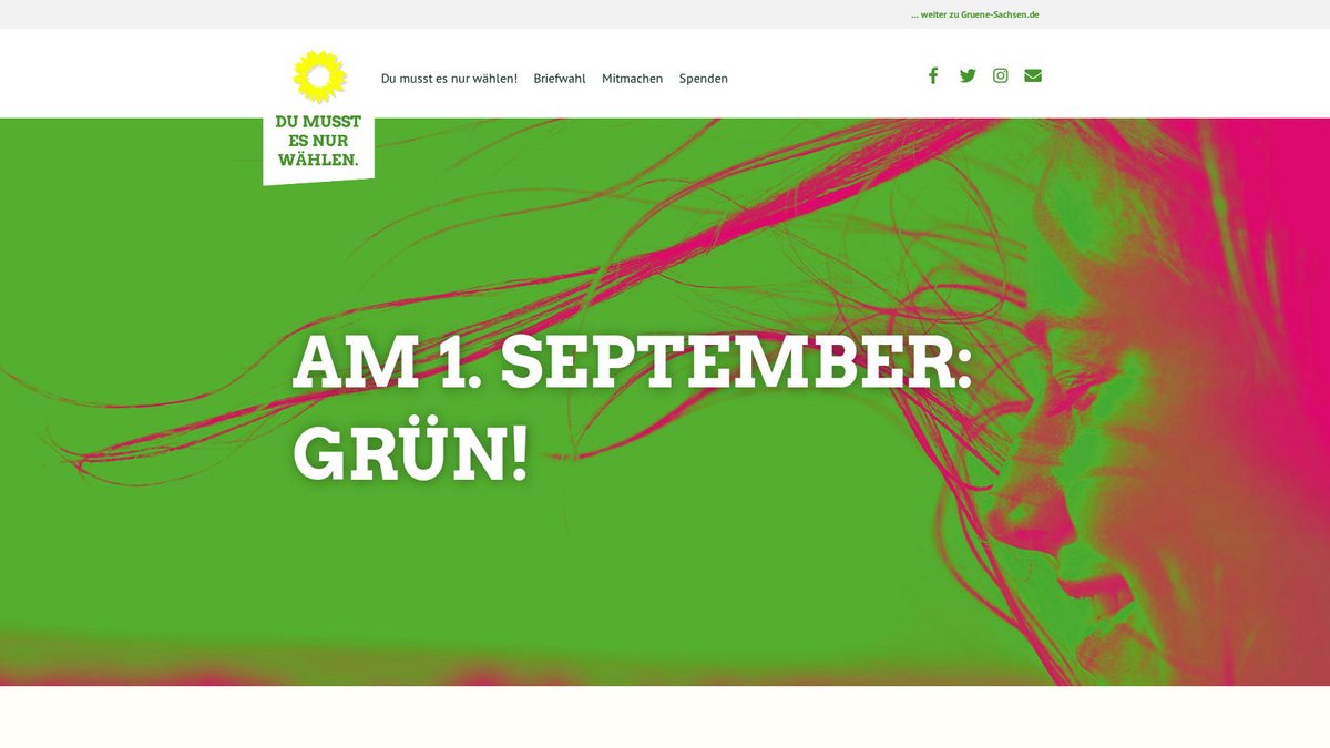 gruene-sachsen.de: Landing-Page