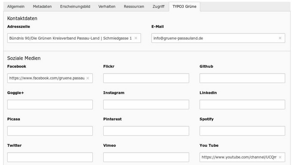 TYPO3 GRÜNE mit dem Formular für die zwölf Icons im Backend.