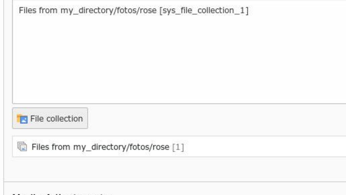 Dem Slick-Slider kannst Du TYPO3-File-Collections zuordnen: Dann werden die Dateien aus den jeweils angegebenen Ordner zu Dias im Slider. Ändert sich der Inhalt in einem Ordner, aktualisiert sich der Slider entsprechend.