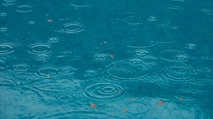 Deutschland. Alles its drin. Programmentwurf BÜNDNIS 90/DIE GRÜNEN