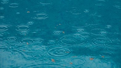 Deutschland. Alles its drin. Programmentwurf BÜNDNIS 90/DIE GRÜNEN