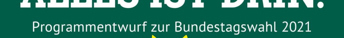 Header Newsletter TYPO3 GRÜNE