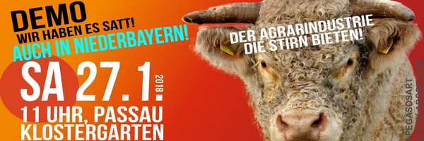 Cem Özdemir, Spitzenkandidat für die Bundestwagswahl 2017: BÜNDNIS 90/DIE GRÜNEN