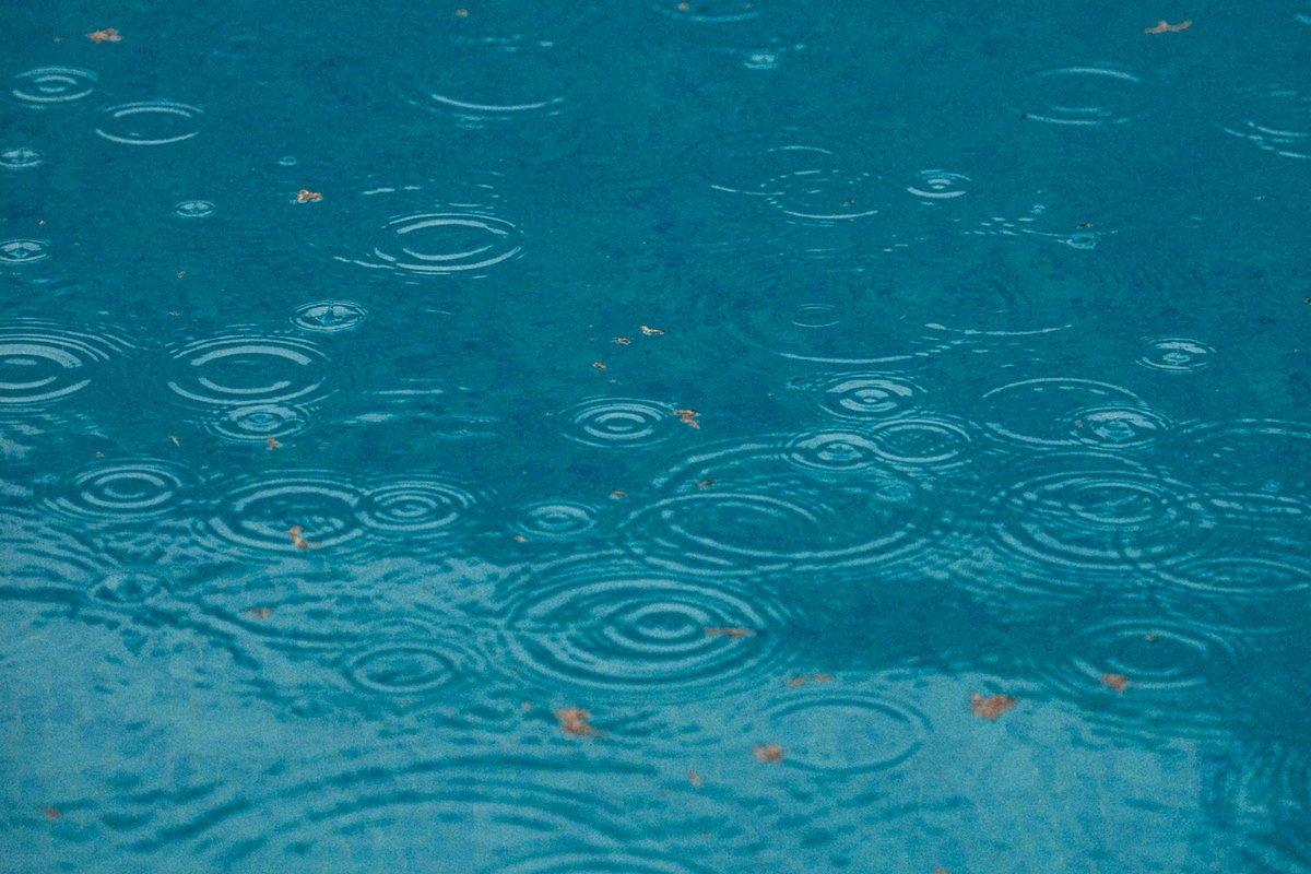 Schlüsselbild: Sonnenblumen (c) Krsto Jevtic / unsplash