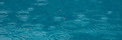 Cem Özdemir, Spitzenkandidat für die Bundestwagswahl 2017: BÜNDNIS 90/DIE GRÜNEN