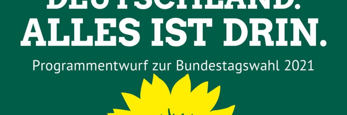 Cem Özdemir, Spitzenkandidat für die Bundestwagswahl 2017: BÜNDNIS 90/DIE GRÜNEN