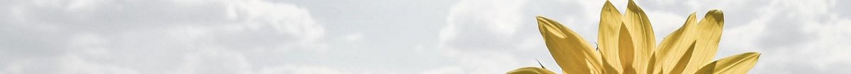 TYPO3 GRÜNE: Header-Grafik für Theme Persönlich