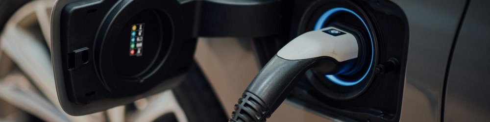 Für eine weltoffene Gesellschaft