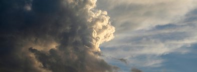 Wir haben es satt! Niederbayern-Demo in Passau