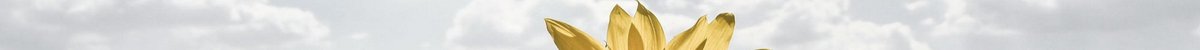 Header Newsletter TYPO3 GRÜNE