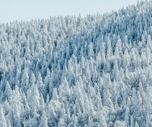 5-Euro-Schein (c) Didier Weemaels / unsplash