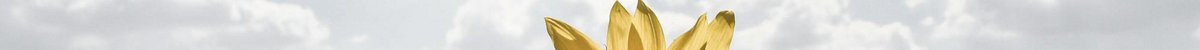Header Newsletter TYPO3 GRÜNE