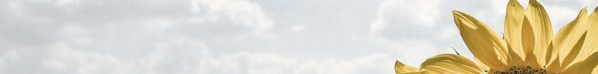 Cem Özdemir, Spitzenkandidat für die Bundestwagswahl 2017: BÜNDNIS 90/DIE GRÜNEN