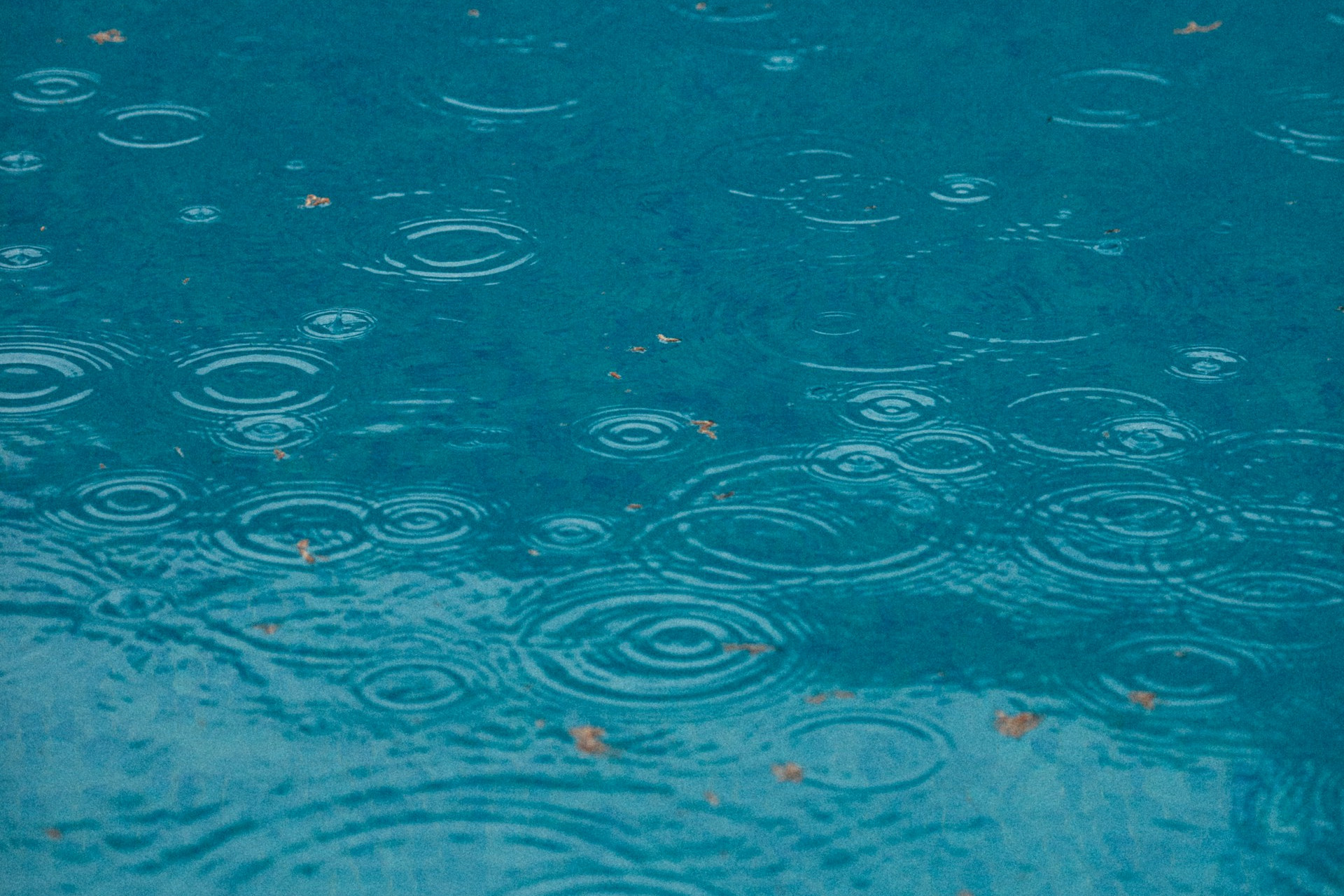 Deutschland. Alles its drin. Programmentwurf BÜNDNIS 90/DIE GRÜNEN 